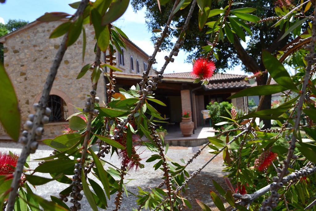 Agriturismo La Ghiraia Санта Луче Стая снимка