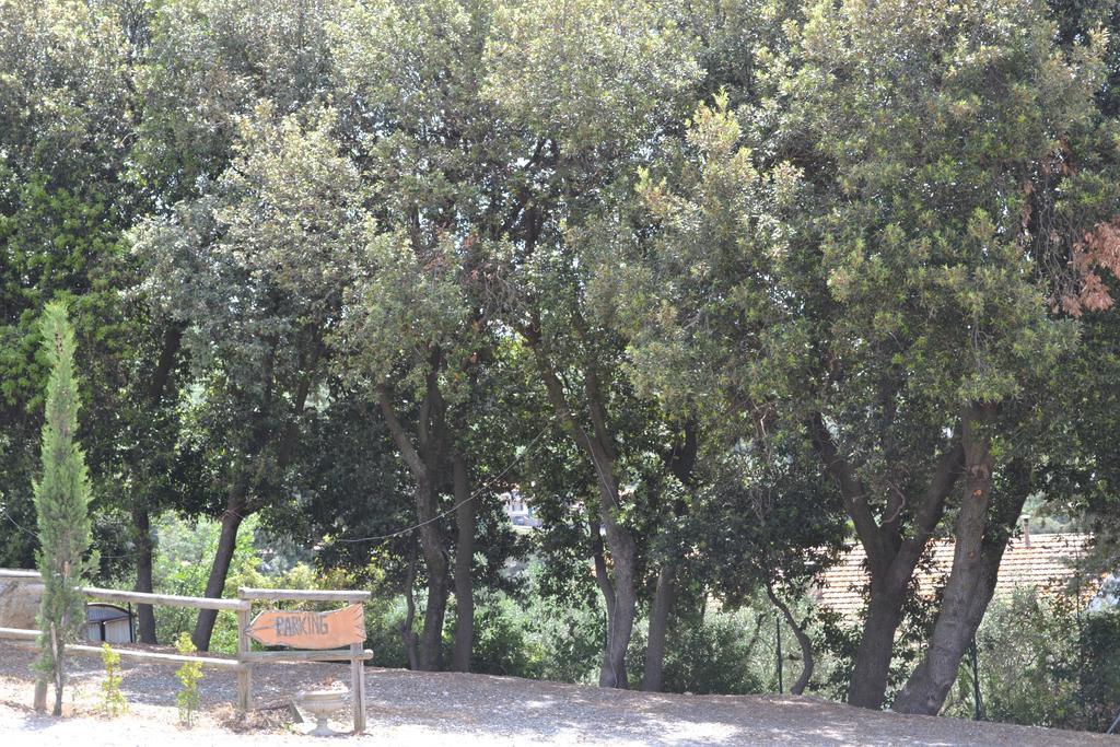 Agriturismo La Ghiraia Санта Луче Екстериор снимка