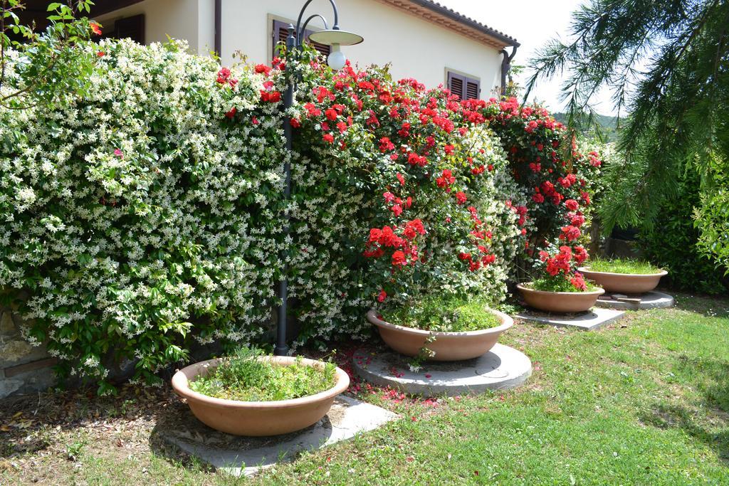 Agriturismo La Ghiraia Санта Луче Екстериор снимка